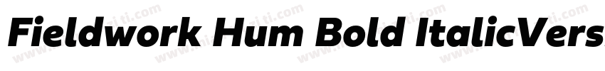Fieldwork Hum Bold ItalicVersion 1字体转换